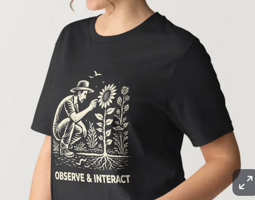 Observe & Interact