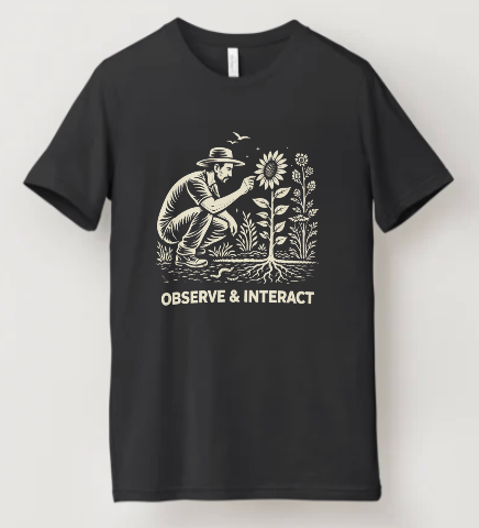 Observe & Interact